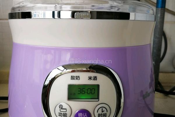 自制醪糟（米酒)的做法图解9