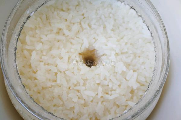 自制醪糟（米酒)的做法图解10