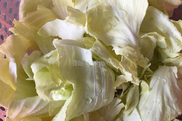 炝炒包菜的做法图解1