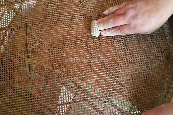 荞麦老鼠的做法图解5