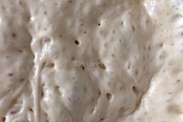 poolish（波兰种）汉堡胚的做法图解1