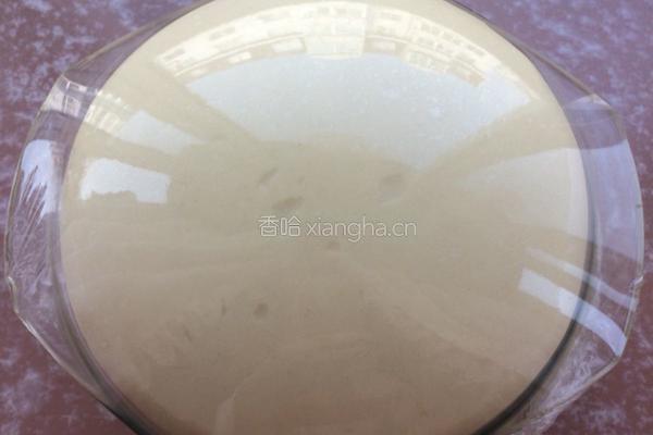 poolish（波兰种）汉堡胚的做法图解6