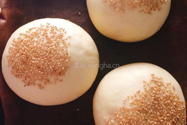 poolish（波兰种）汉堡胚的做法图解10
