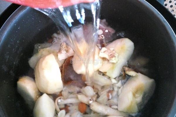 四味苹果清润汤的做法图解8