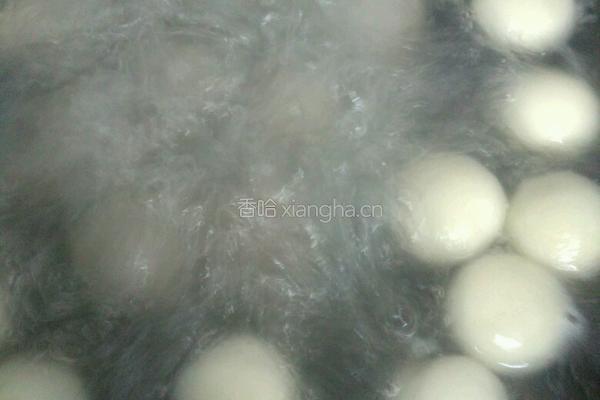 煮汤圆的做法图解5