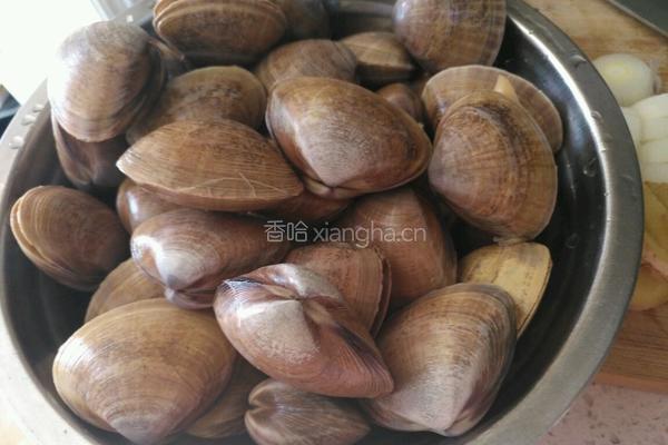 炒黄蚬子的做法图解1