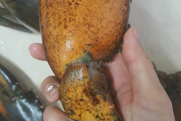 芝士焗龙虾的做法图解3