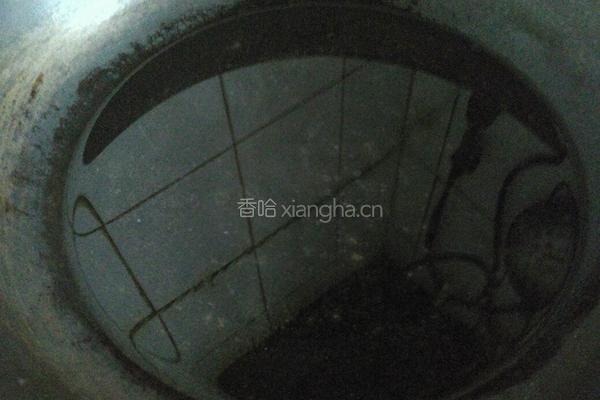 红腐乳焖土豆鸡翅中的做法图解2