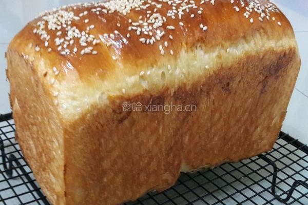 葡萄干土司的做法图解12