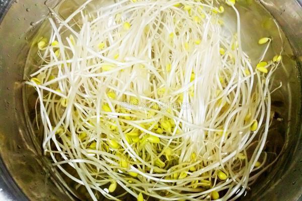 金针菇炒黄豆芽的做法图解2