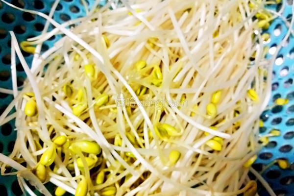 金针菇炒黄豆芽的做法图解3