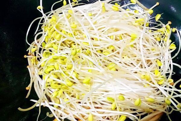 金针菇炒黄豆芽的做法图解8