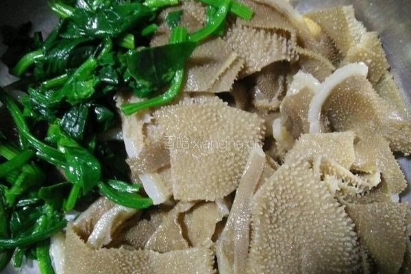 草原毛肚的做法图解3