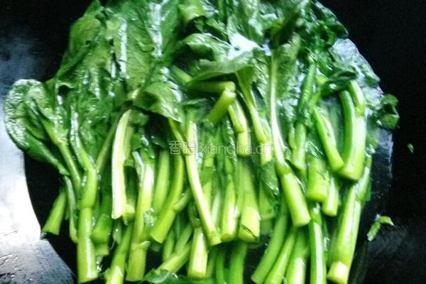 蒜蓉油菜的做法图解3