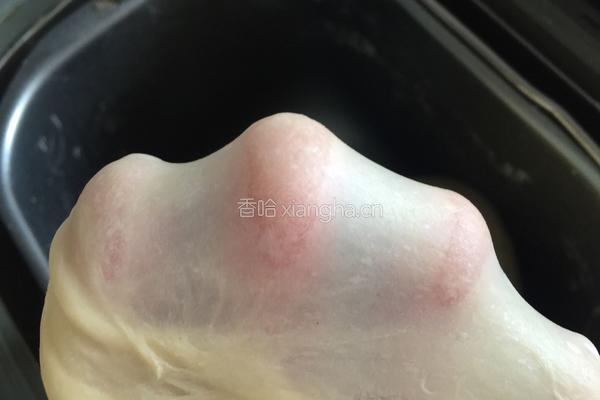 热狗面包的做法图解3