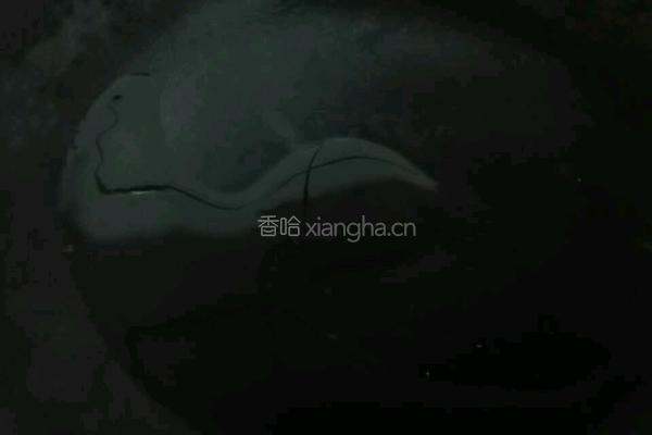 红烧肉炝西蓝花的做法图解10