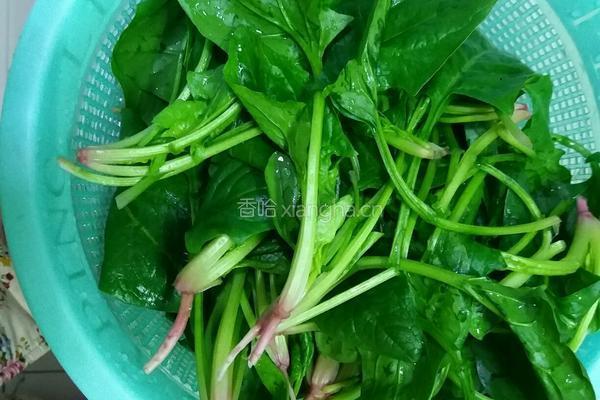 晚餐凉拌菠菜的做法图解1