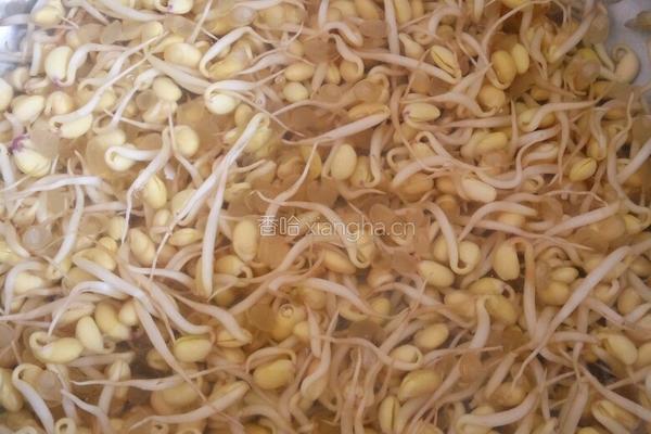 黄豆芽炒粉丝的做法图解1