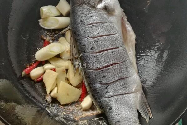 红烧海鲈鱼的做法图解5