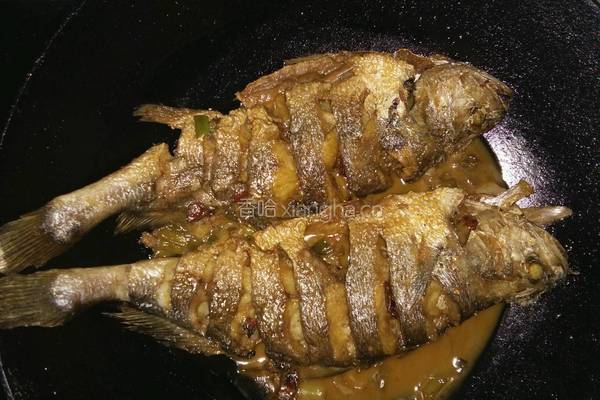 番茄黄花鱼的做法图解3