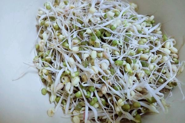 清炒自发绿豆芽的做法图解2
