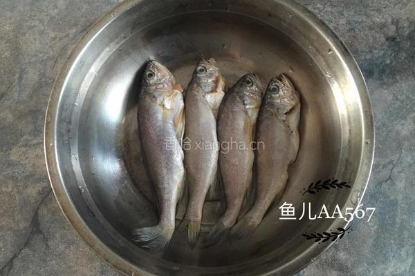 香煎黄花鱼的做法图解1
