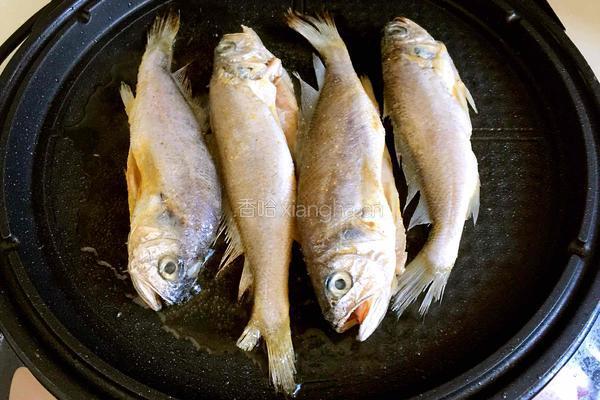 香煎黄花鱼的做法图解4