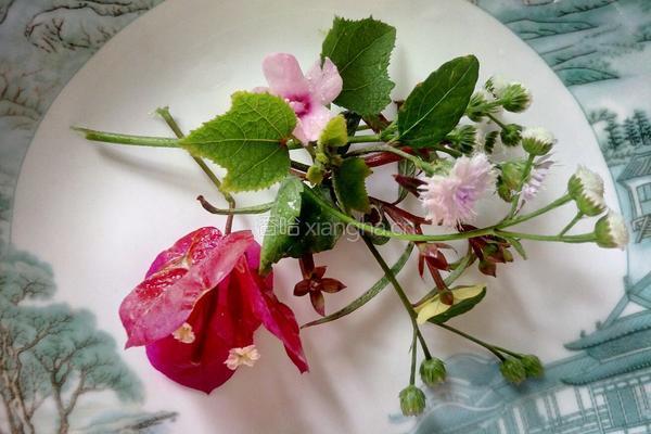 紫薯芒果冰淇淋(彩虹之上只属于你）的做法图解1