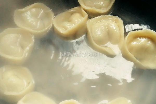 酸汤素水饺的做法图解15