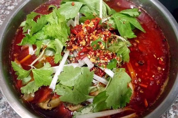 水煮鱼男士版的做法图解13