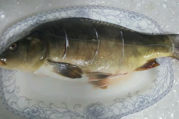 红烧鲤鱼的做法图解1