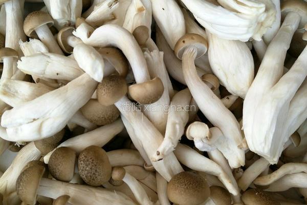 小炒蟹腿菇的做法图解1