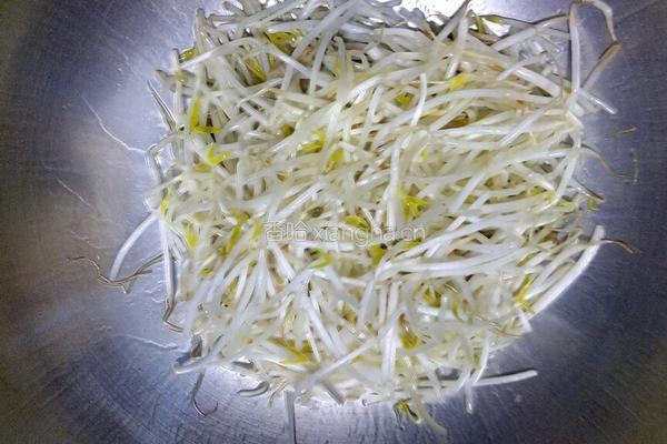豆芽菜炒肉的做法图解6