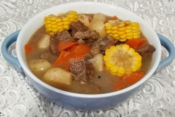 清炖羊肉煲的做法图解5