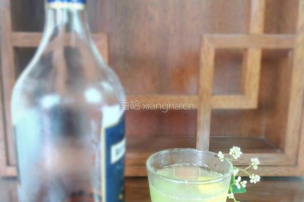 水果鸡尾酒的做法图解4