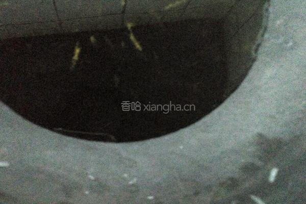 尖椒鸡蛋卤的做法图解3