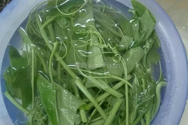 清炒佛手瓜叶的做法图解1