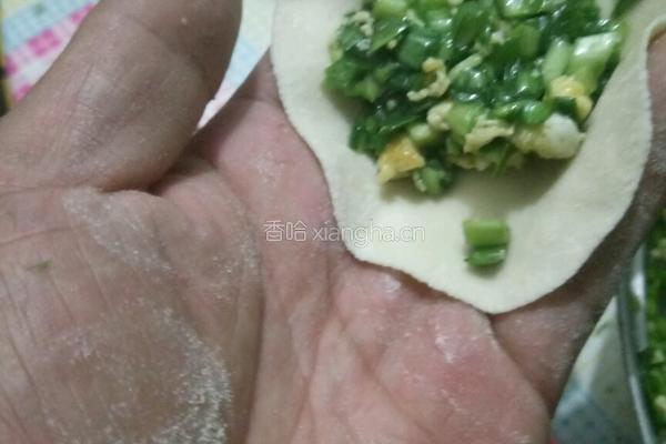 韭菜鸡蛋水饺的做法图解6