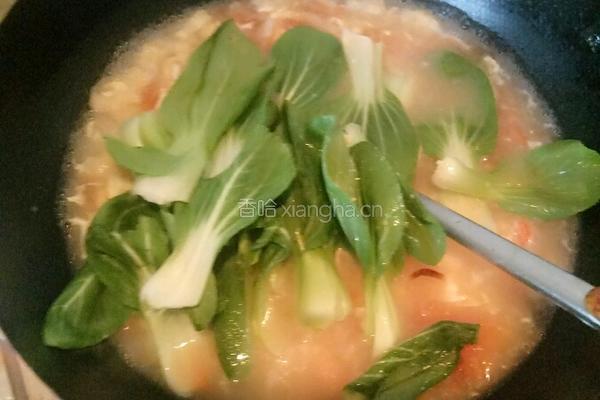 西红柿鸡蛋青菜疙瘩汤的做法图解8