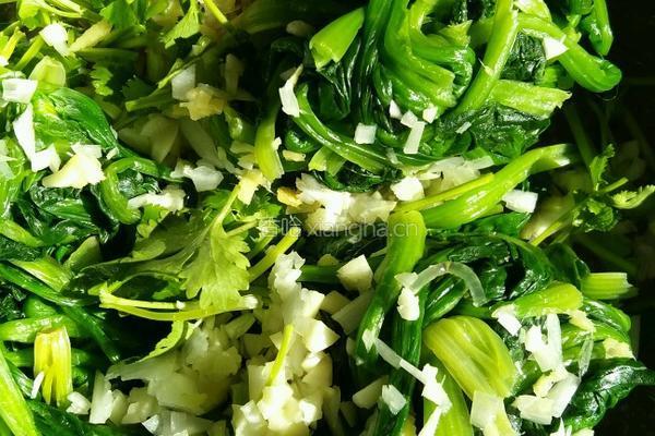 菠菜拌粉条（凉菜）的做法图解4