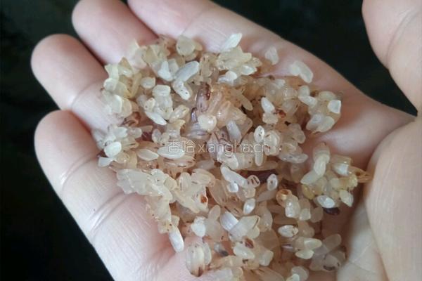 侗族糍粑油茶的做法图解3