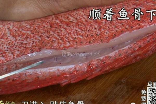 CCTV7食尚大转盘 双味黄耳东星斑的做法图解7