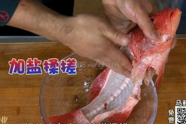 CCTV7食尚大转盘 双味黄耳东星斑的做法图解9