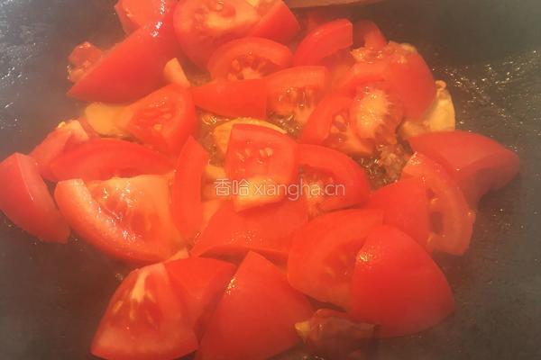 番茄土豆炖牛腩的做法图解4