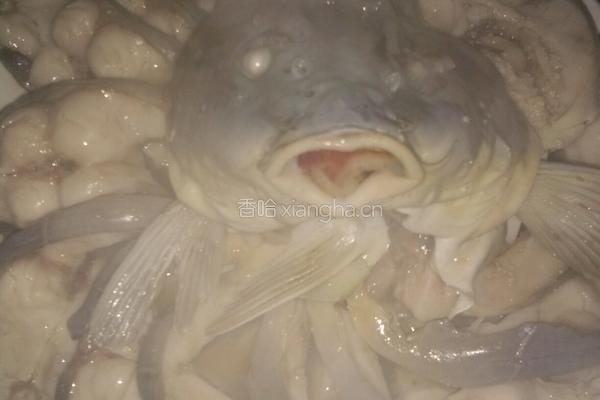 孔雀开平鱼的做法图解4