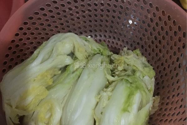 韩国酸辣大白菜的做法图解5
