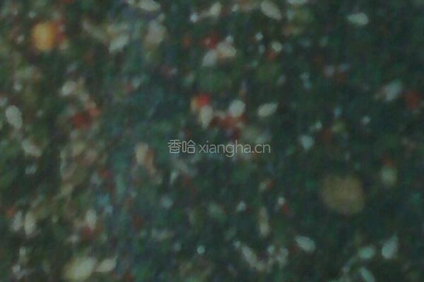 撒皮的做法图解2