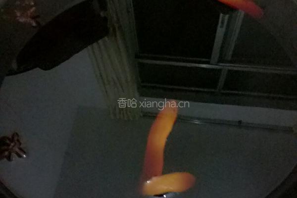 酱鸭的做法图解2