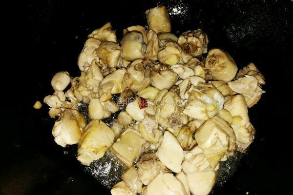 松蛾炖鸡的做法图解5