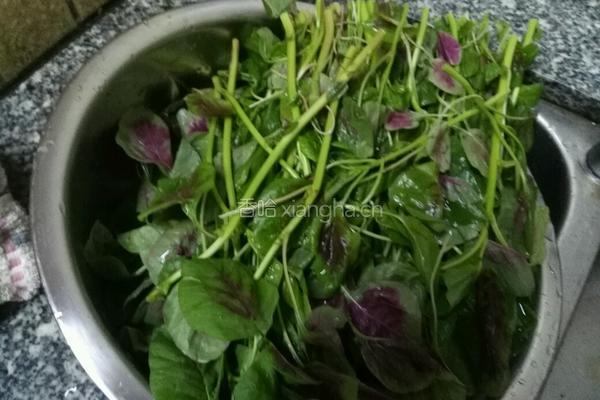 玫瑰花饺子的做法图解1
